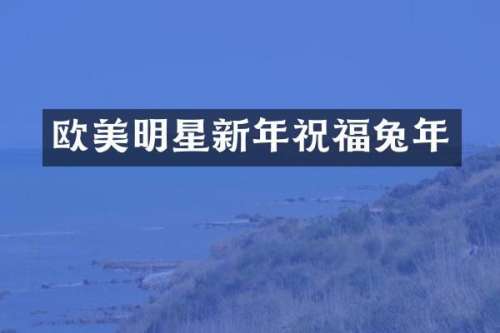 欧美明星新年祝福兔年