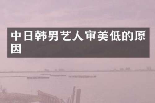中日韩男艺人审美低的原因