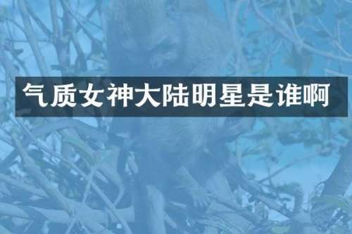 气质女神大陆明星是谁啊