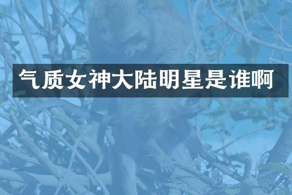 气质女神大陆明星是谁啊