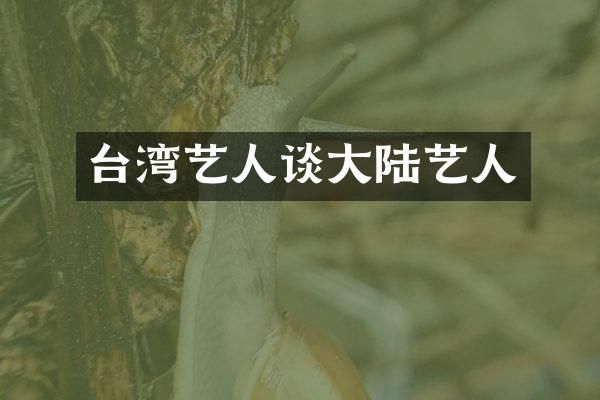 台湾艺人谈大陆艺人