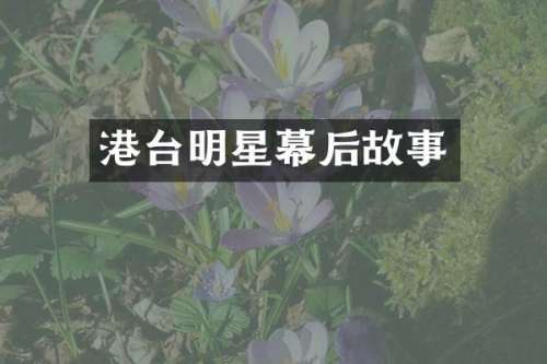 港台明星幕后故事