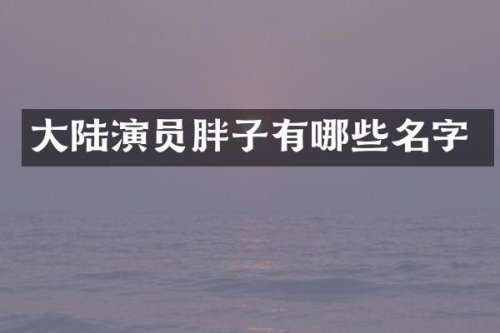 大陆演员胖子有哪些名字