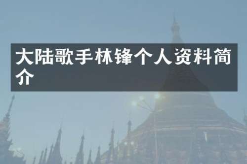 大陆歌手林锋个人资料简介