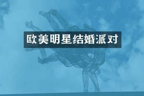 欧美明星结婚派对