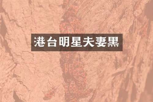 港台明星夫妻黑