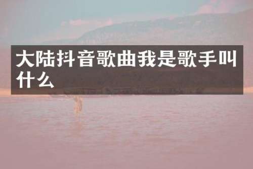 大陆抖音歌曲我是歌手叫什么