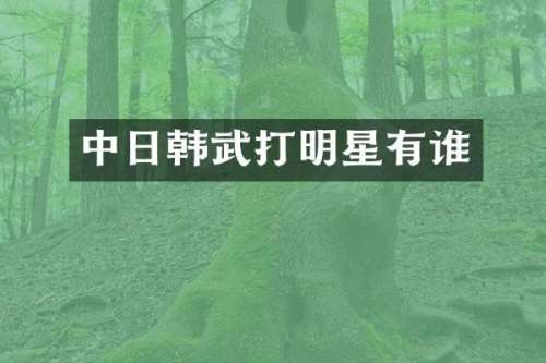 中日韩武打明星有谁