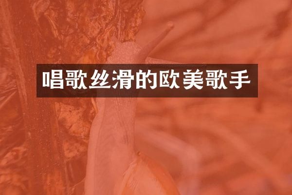 唱歌丝滑的欧美歌手