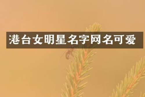 港台女明星名字网名可爱