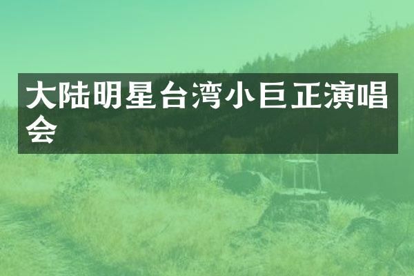 大陆明星台湾小巨正演唱会