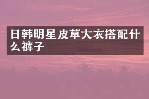 日韩明星皮草大衣搭裤子