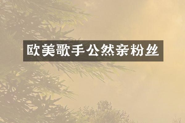 欧美歌手公然亲粉丝