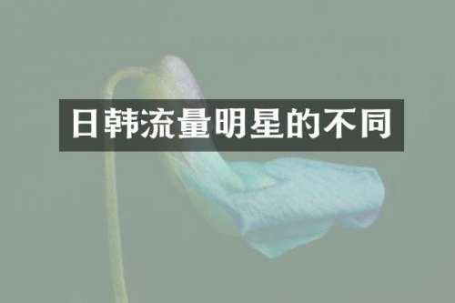 日韩流量明星的不同