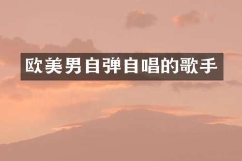 欧美男自弹自唱的歌手