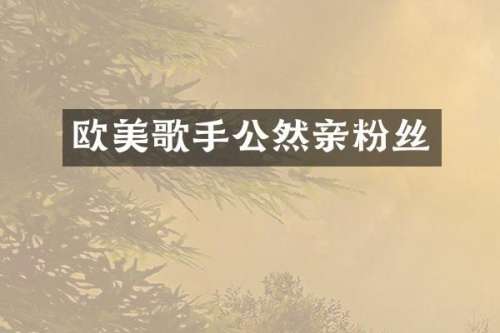 欧美歌手公然亲粉丝
