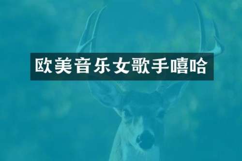 欧美音乐女歌手嘻哈