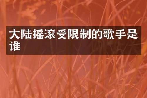 大陆摇滚受限制的歌手是谁