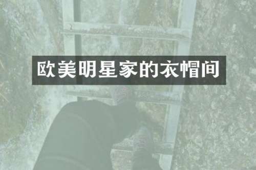 欧美明星家的衣帽间