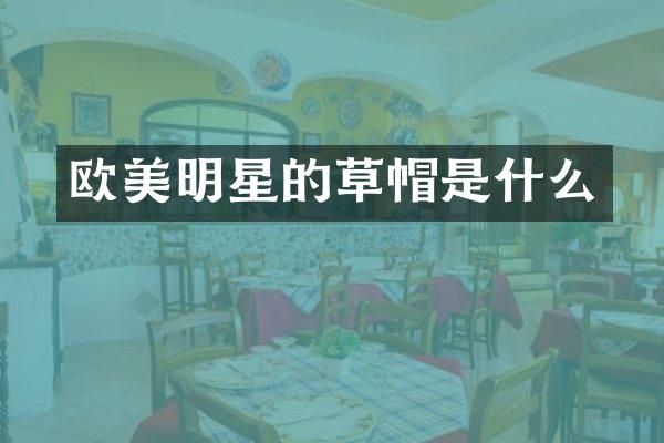 欧美明星的草帽是什么