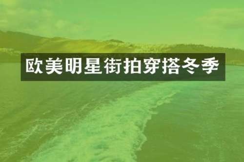 欧美明星街拍穿搭冬季
