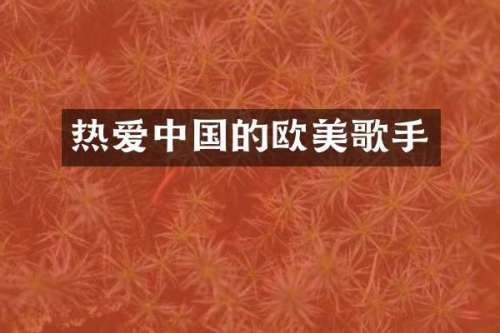 热爱中国的欧美歌手