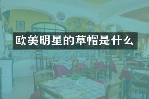 欧美明星的草帽是什么