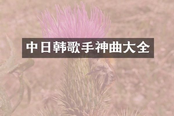 中日韩歌手神曲大全