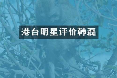 港台明星评价韩磊