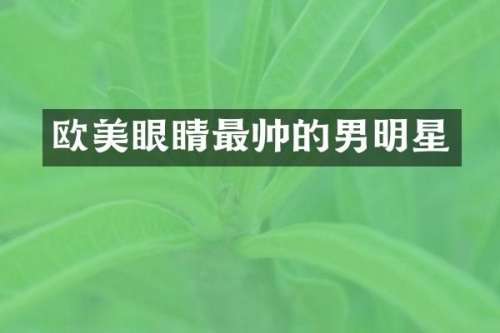 欧美眼睛最帅的男明星