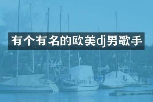 有个有名的欧美dj男歌手