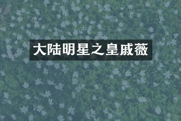 大陆明星之皇戚薇