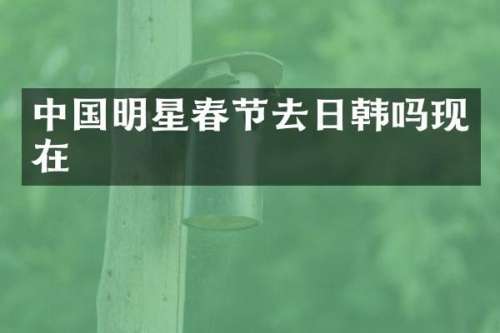 中国明星春节去日韩吗现在
