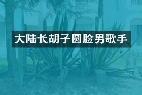 大陆长胡子圆脸男歌手