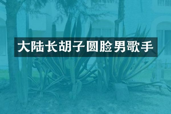 大陆长胡子圆脸男歌手