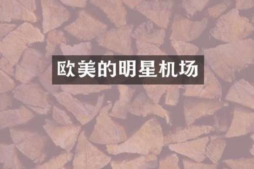 欧美的明星机场