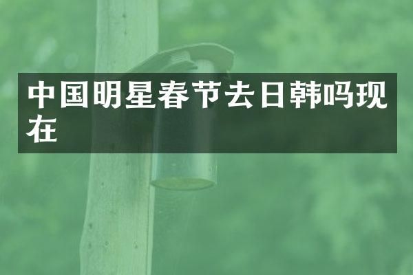 中国明星春节去日韩吗现在