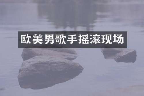 欧美男歌手摇滚现场