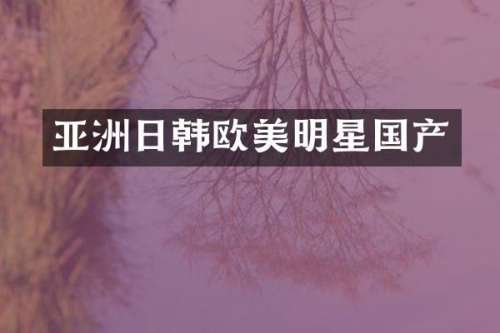 亚洲日韩欧美明星国产