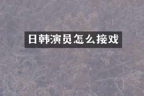 日韩演员怎么接戏