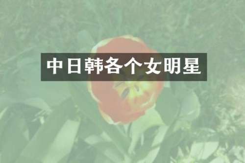 中日韩各个女明星