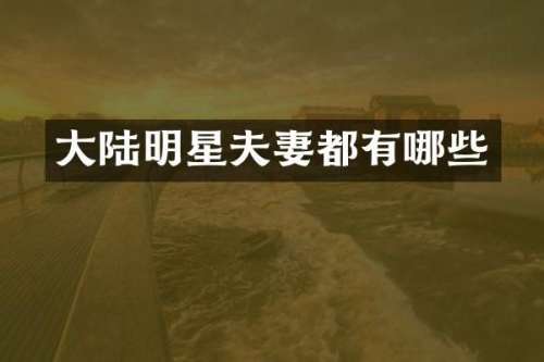 大陆明星夫妻都有哪些