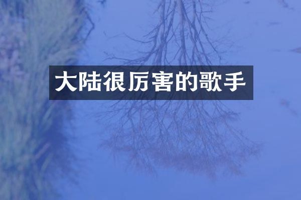 大陆很厉害的歌手