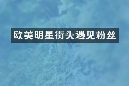 欧美明星街头遇见粉丝