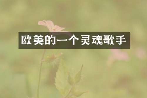 欧美的一个灵魂歌手