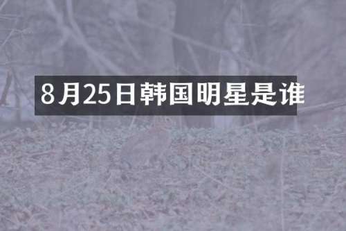 8月25日韩国明星是谁