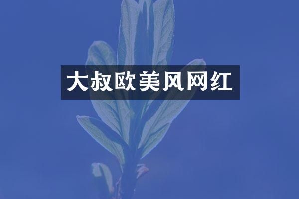 大叔欧美风网红