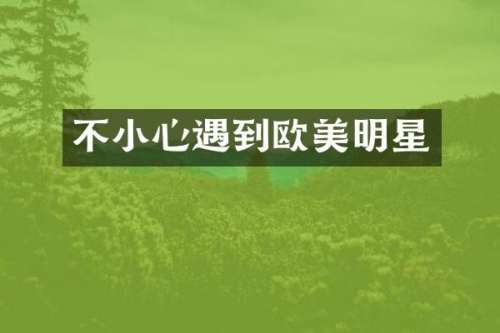 不小心遇到欧美明星