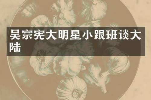 吴宗宪大明星小跟班谈大陆