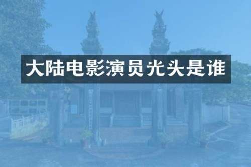 大陆电影演员光头是谁